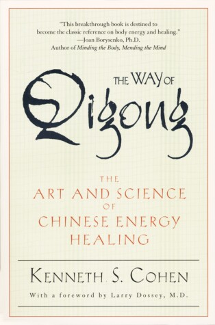 Book cover for The Way of Qigong