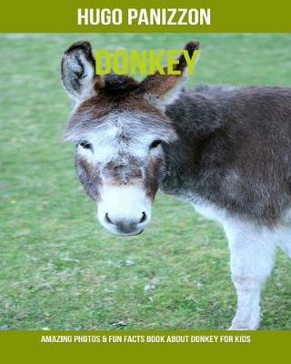 Book cover for Donkey