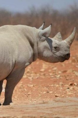 Cover of National Park Rhino Notebook