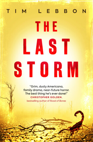 Book cover for The Last Storm