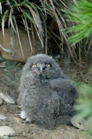 Cover of Fluffy Little Baby Owl Journal