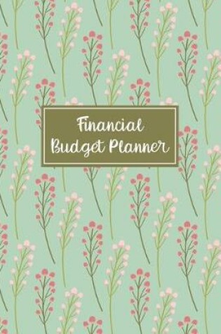 Cover of Financial Budget Planner