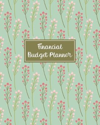 Cover of Financial Budget Planner