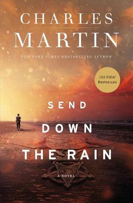 Book cover for Send Down the Rain