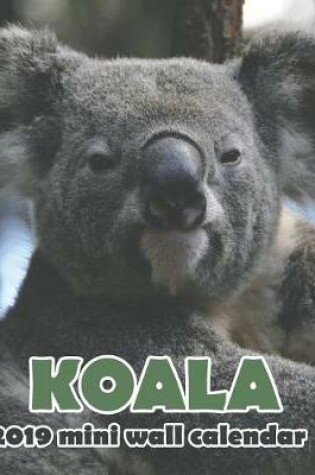 Cover of Koala 2019 Mini Wall Calendar
