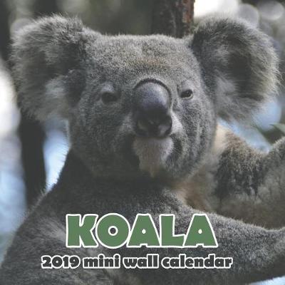 Book cover for Koala 2019 Mini Wall Calendar