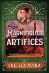 Book cover for Magnifiques artifices