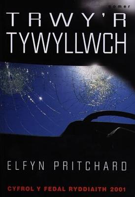 Book cover for Trwy'r Tywyllwch - Cyfrol y Fedal Ryddiaith 2001