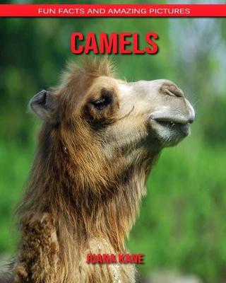 Book cover for Camels