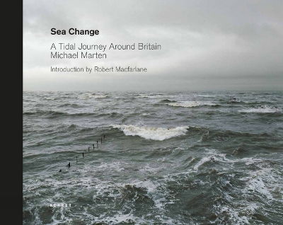 Book cover for Sea Change