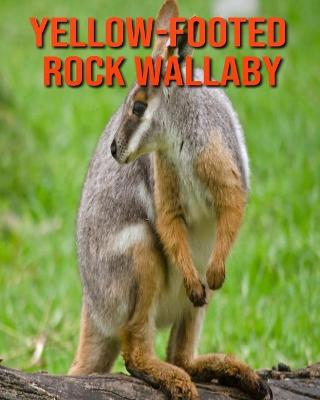 Cover of Yellow-footed Rock Wallaby