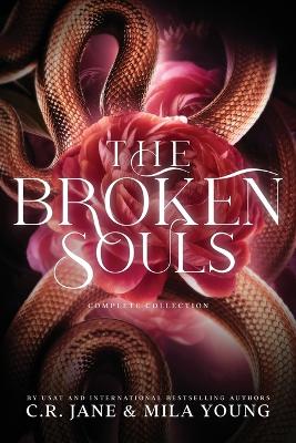 Book cover for The Broken Souls Complete Collection