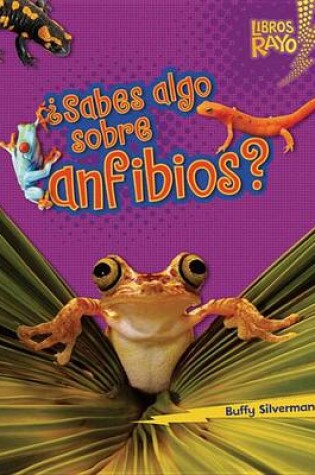 Cover of ¿Sabes algo sobre anfibios? (Do You Know about Amphibians?)