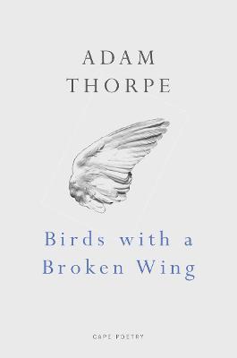 Book cover for Birds With A Broken Wing