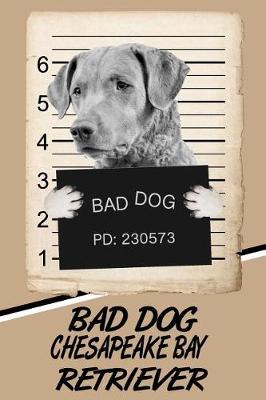 Book cover for Bad Dog Chesapeake Bay Retriever