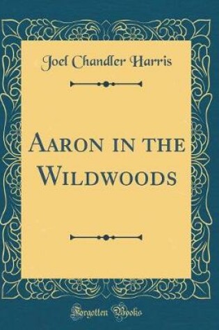 Cover of Aaron in the Wildwoods (Classic Reprint)