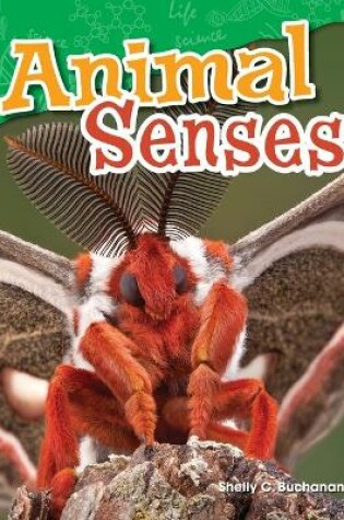 Cover of Animal Senses