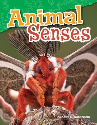 Book cover for Animal Senses