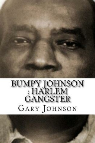 Cover of Bumpy Johnson