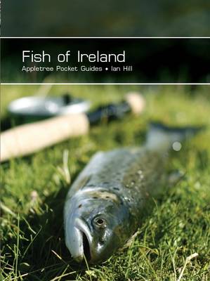 Book cover for Fish of Ireland