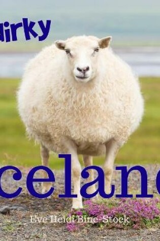 Cover of Quirky Iceland