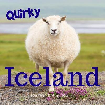 Book cover for Quirky Iceland