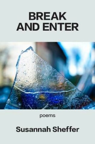 Cover of Break and Enter