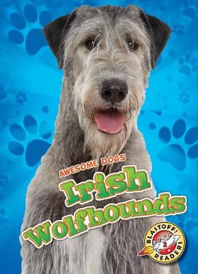 Book cover for Irish Wolfhounds Irish Wolfhounds