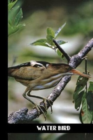 Cover of water bird