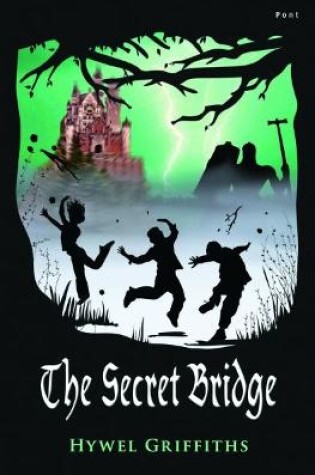 Cover of Secret Bridge, The