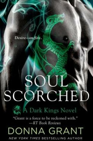 Cover of Soul Scorched