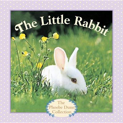 Book cover for The Little Rabbit