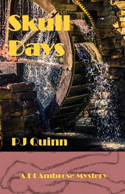 Book cover for Skull Days