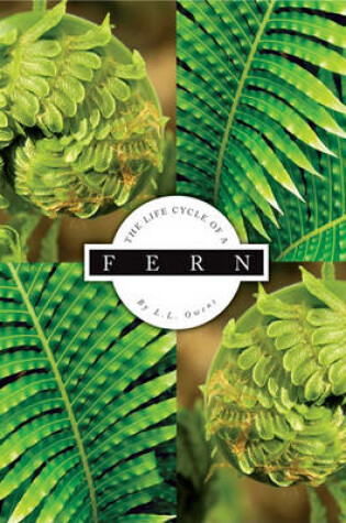 Cover of The Life Cycle of a Fern