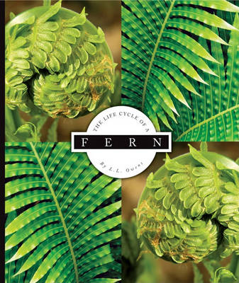 Book cover for The Life Cycle of a Fern