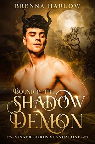 Cover of Bound by the Shadow Demon
