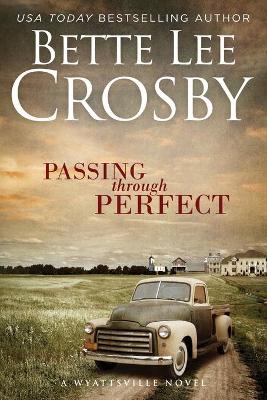 Book cover for Passing through Perfect