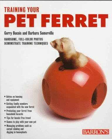 Book cover for Guide to Training Your Pet Ferret