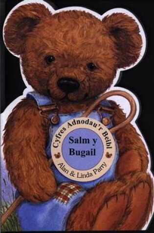 Cover of Cyfres Adnodau'r Beibl: Salm y Bugail