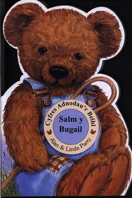 Book cover for Cyfres Adnodau'r Beibl: Salm y Bugail