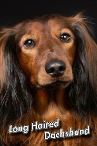 Cover of Long Haired Dachshund