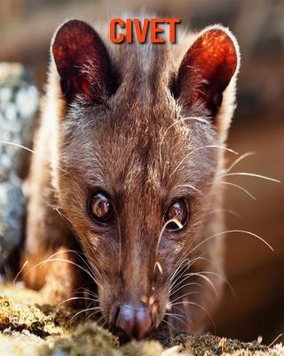 Book cover for Civet