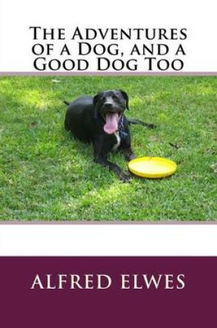 Cover of The Adventures of a Dog, and a Good Dog Too