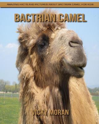 Book cover for Bactrian camel