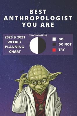 Book cover for 2020 & 2021 Two-Year Weekly Planner For Best Anthropologist Gift - Funny Yoda Quote Appointment Book - Two Year Agenda Notebook