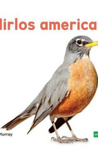 Cover of Mirlos Americanos (Robins)