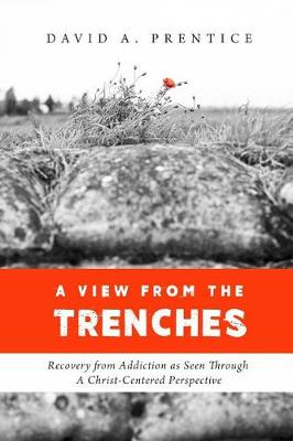 Book cover for A View from the Trenches