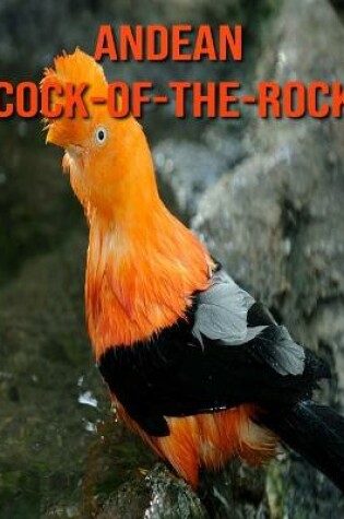 Cover of Andean Cock-of-The-Rock