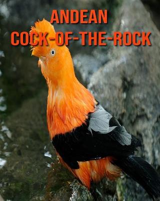 Book cover for Andean Cock-of-The-Rock