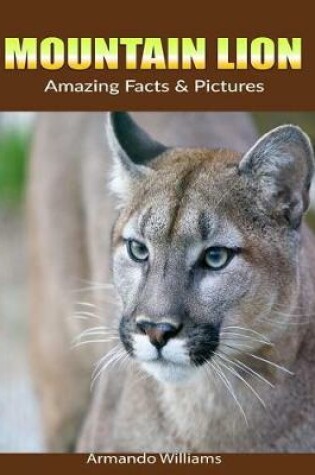 Cover of Mountain Lion